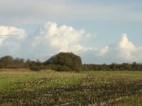 NL, Friesland, Tietjerksteradeel, Suwald 1, Saxifraga-Hans Boll