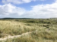 NL, Friesland, Vlieland 8, Saxifraga-Bart Vastenhouw