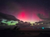 NL, Friesland, Vlieland, Aurora 1, Saxifraga-Bart Vastenhouw