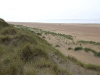 NL, Friesland, Vlieland, Noordzeeduin 5, Saxifraga-Hans Boll