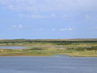 NL, Friesland, Vlieland, Vierde Kroons Polder 3, Saxifraga-Hans Boll