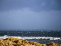 NL, Friesland, Vlieland, Vliestroom 7, Saxifraga-Bart Vastenhouw