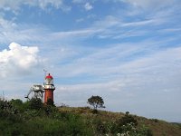 NL, Friesland, Vlieland, Vuurboetsduin 1, Saxifraga-Bart Vastenhouw