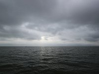 NL, Friesland, Vlieland, Waddenzee 5, Saxifraga-Bart Vastenhouw