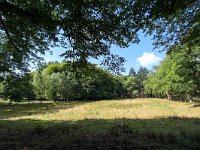 NL, Gelderland, Apeldoorn, Hoog Soeren 6, Saxifraga-Bart Vastenhouw