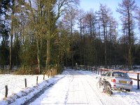 NL, Gelderland, Apeldoorn, Loenermark 2, Saxifraga-Henk Sierdsema