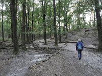 NL, Gelderland, Apeldoorn, Loenermark 3, Saxifraga-Tom Heijnen