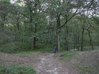 NL, Gelderland, Apeldoorn, Loenermark 5, Saxifraga-Tom Heijnen