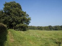 NL, Gelderland, Arnhem, Klarenbeek 7, Saxifraga-Marijke Verhagen