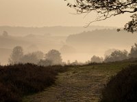 A trail in a hilly misty landscape  A trail in a hilly misty landscape during sunrise : Netherlands, Posbank, SHADOW, Veluwe, arnhem, biotoop, bomen, boom, bos, buiten, color, creative nature, ecologische, ehs, environment, environmental, feeling, fog, foggy, forest, gelderland, gevoel, habitat, haze, hazy sunlight, heuvel, heuvelig, heuvels, hill, hills, hilly, holland, hoofdstructuur, kleur, landscape, landschap, licht, lighting, mist, mistig, misty, morning, mysterieus, mysterious, mystic, mystical, mystiek, mystieke, nationaal park, national park, natura 2000, natural, nature, nature conservation, nature management, natuur, natuurbeheer, natuurbeleid, natuurbescherming, natuurlijk, natuurlijke, natuurwet, nederland, nevel, nevelig, ochtend, omgeving, orange, oranje, outdoor, pink, roze, rudmer zwerver, scenery, schaduw, sereen, serene, silhouette, sunbeam, sunrise, tree, trees, waas, wazig, zonlicht, zonnestraal, zonsopkomst