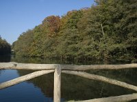 NL, Gelderland, Arnhem, Zijpendaal 9, Saxifraga-Marijke Verhagen