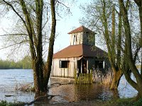 NL, Gelderland, Berg en Dal, Millingerwaard 4, Saxifraga-Tom Heijnen