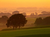 orange sunrise  Orange sunrise over a misty agricultural landscape : Netherlands, SHADOW, agrarische, agricultural, agriculture, atmosphere, back, beauty, biotoop, bomen, boom, color, colorful, country, countryside, creatief, creative nature, dageraad, dawn, daybreak, dusk, dutch, environment, farm, farmland, field, fog, foggy, geel, gelderland, gloed, gloeiend, glow, glowing, gras, grass, green, groen, groesbeek, haze, hazy, hemel, heuvel, heuvels, hill, hills, holland, horizon, kant, kleur, kleurrijk, land, landbouw, landbouwgrond, landelijk, landscape, landschap, licht, lit, milieu, mist, mistig, misty, mood, morning, mysterieus, mysterious, mystic, mystical, mystiek, mystieke, natural, nature, natuur, natuurlijk, natuurlijke, nederland, nederlands, nederrijk, nevel, nevelig, niemand, nobody, non-urban, ochtend, ochtendgloren, omgeving, opkomst, orange, oranje, pasture, platteland, rudmer zwerver, ruraal, rural, scene, scenery, scenic, schaduw, schaduwen, schemering, schoonheid, scène, serene, sfeer, shade, shades, side, silhouet, silhouette, silhouetted, sky, stemming, summer, sundown, sunrise, sunset, tegenlicht, tree, uitzicht, upcoming, veld, view, wazig, weide, yellow, zomer, zonsondergang, zonsopgang