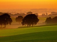 Orange sunrise over misty and hilly farmland  Orange sunrise over misty and hilly farmland : Netherlands, SHADOW, agrarische, agricultural, agriculture, atmosphere, back, beauty, biotoop, bomen, boom, color, colorful, country, countryside, creatief, creative nature, dageraad, dawn, daybreak, dusk, dutch, environment, farm, farmland, field, fog, foggy, geel, gelderland, gloed, gloeiend, glow, glowing, gras, grass, green, groen, groesbeek, haze, hazy, hemel, heuvel, heuvels, hill, hills, holland, horizon, kant, kleur, kleurrijk, land, landbouw, landbouwgrond, landelijk, landscape, landschap, licht, lit, milieu, mist, mistig, misty, mood, morning, mysterieus, mysterious, mystic, mystical, mystiek, mystieke, natural, nature, natuur, natuurlijk, natuurlijke, nederland, nederlands, nederrijk, nevel, nevelig, niemand, nobody, non-urban, ochtend, ochtendgloren, omgeving, opkomst, orange, oranje, pasture, platteland, rudmer zwerver, ruraal, rural, scene, scenery, scenic, schaduw, schaduwen, schemering, schoonheid, scène, serene, sfeer, shade, shades, side, silhouet, silhouette, silhouetted, sky, stemming, summer, sundown, sunrise, sunset, tegenlicht, tree, uitzicht, upcoming, veld, view, wazig, weide, yellow, zomer, zonsondergang, zonsopgang