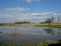 NL, Gelderland, Berg en Dal, Persingen 2, Saxifraga-Harry van Oosterhout