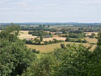 NL, Gelderland, Berg en Dal, view from near Berg en Dal 1, Saxifraga-Tom Heijnen