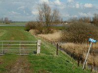 NL, Gelderland, Culemborg, Beusichemse Waard 4, Saxifraga-Marijke Verhagen