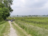 NL, Gelderland, Culemborg, Goilberdingerwaard 1, Saxifraga-Tom Heijnen