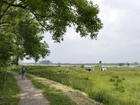 NL, Gelderland, Culemborg, Goilberdingerwaard 2, Saxifraga-Tom Heijnen