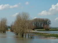 NL, Gelderland, Culemborg, Redichemse Waard 3, Saxifraga-Jan van der Straaten