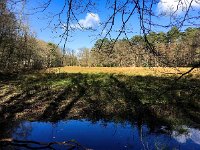 NL, Gelderland, Ermelo, Leuvenumse beek 6, Saxifraga-Bart Vastenhouw