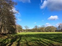 NL, Gelderland, Ermelo, Staverdense beek 3, Saxifraga-Bart Vastenhouw