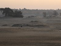 NL, Gelderland, Harderwijk, Beekhuizerzand 19, Saxifraga-Luuk Vermeer