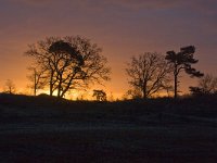 Zonsopgang Beekhuizerzand