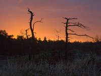 Zonsopgang Beekhuizerzand