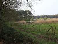 NL, Gelderland, Heumen, Overasseltsche en Hatertsche vennen 90, Saxifraga-Hans Boll