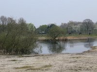 NL, Gelderland, Heumen, Overasseltsche en Hatertsche vennen 91, Saxifraga-Hans Boll