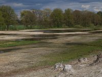 NL, Gelderland, Heumen, Overasseltsche en Hatertsche vennen 98, Saxifraga-Hans Boll