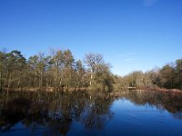 NL, Gelderland, Lochem, Gorsselse Heide 2, Saxifraga-Bart Vastenhouw