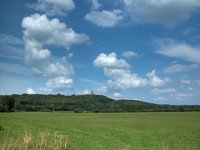 NL, Gelderland, Montferland, Elten 2, Saxifraga-Bart Vastenhouw