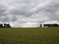 NL, Gelderland, Montferland, s Heerenberg 2, Saxifraga-Bart Vastenhouw