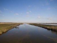 NL, Gelderland, Nijkerk, Arkemheen 20, Saxifraga-Jan Nijendijk