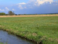 NL, Gelderland, Nijkerk, Arkemheen 4, Saxifraga-Hans Boll