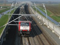 NL, Gelderland, Nijmegen 1, Saxifraga-Harry van Oosterhout