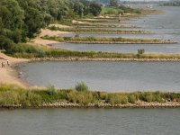 NL, Gelderland, Nijmegen 3, Saxifraga-Harry van Oosterhout