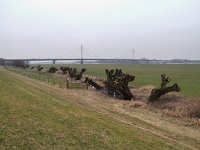 Overbetuwe