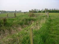 NL, Gelderland, Rheden, Hof te Rheden 5, Saxifraga-Henk Sierdsema