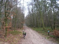 NL, Gelderland, Rheden, Schaddevelden 3, Saxifraga-Henk Sierdsema