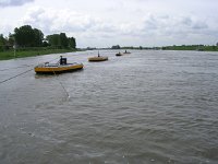 NL, Gelderland, Rijnwaarden, Rijnstrangen 2, Saxifraga-Henk Sierdsema