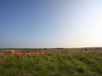 NL, Gelderland, Rozendaal, Rozendaalse Veld 1, Saxifraga-Bart Vastenhouw