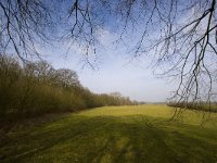 NL, Gelderland, Voorst 3, Saxifraga-Bart Vastenhouw