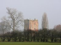 NL, Gelderland, Voorst, Kasteel Nijenbeek 5, Saxifraga-Bart Vastenhouw