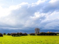 NL, Gelderland, Voorst, Rammelwaard 1, Saxifraga-Bart Vastenhouw