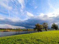 NL, Gelderland, Voorst, Rammelwaard 6, Saxifraga-Bart Vastenhouw