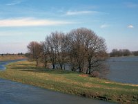 NL, Gelderland, West Betuwe, Heesselt 3, Saxifraga-Jan van der Straaten