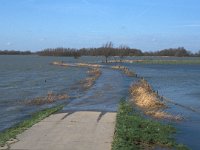 NL, Gelderland, West Betuwe, Heesselt 6, Saxifraga-Jan van der Straaten